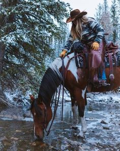 a woman riding on the back of a brown and white horse across a river covered in snow