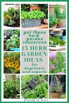 various plants and flowers in pots with the words get these garden resources 15 herb garden ideas for beginners and experts