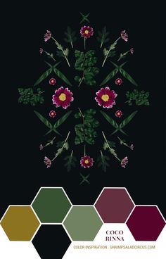 an image of flowers on a black background with colors in the bottom half and bottom half