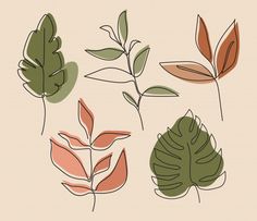 four different types of leaves on a beige background, one is green and the other is red