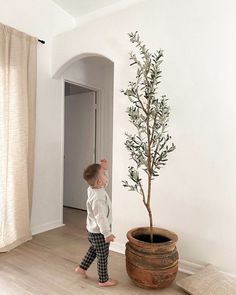 a little boy standing next to a potted plant in a room with white walls