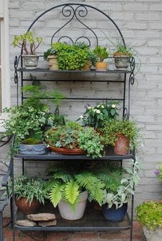 several potted plants are sitting on a shelf in front of a brick wall and door