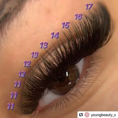 Cat Eye Lash Map, Lash Maps, Lash Map, Natural Fake Eyelashes, Best Lash Extensions, Lashes Fake Eyelashes, Lashes Tutorial, Eyelash Tips, Eyelash Technician