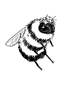 a black and white drawing of a bee