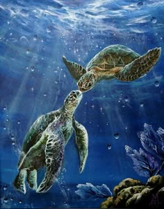 a painting of two sea turtles swimming in the ocean with bubbles and stars above them