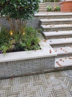 the steps are lined with plants and flowers