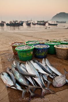 there are many fish in baskets on the beach