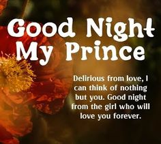 an orange flower with the words good night my prince