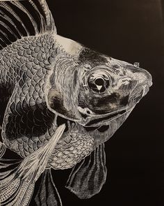 a black and white drawing of a fish on a black background, with the image of a fish's head visible