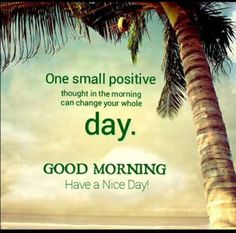 a palm tree with the words, one small positive thought in the morning can change your whole day good morning have a nice day