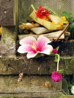 some flowers that are sitting on the side of a stone wall in front of a window