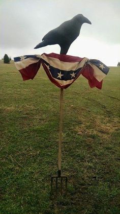 a black bird sitting on top of an american flag in the middle of a field