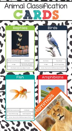 an animal identification card with pictures of different animals