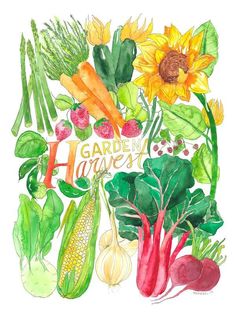 watercolor painting of garden harvest vegetables with the words garden harvest written in cursive font