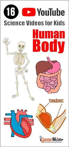 YouTube Science Videos Teaching Human Body to Kids Human Body Science, Human Body Activities, Stem Resources, Human Body Unit, Anatomy Physiology, Human Body Anatomy, Human Body Systems