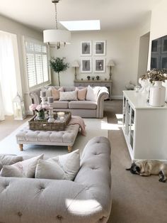 a living room filled with furniture and a dog laying on the floor next to it