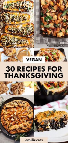 vegan recipes for thanksgiving with text overlay