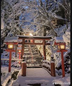 a snowy path leading up to a shrine in the woods with lanterns on each side