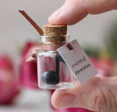 a hand holding a tiny glass jar with a black ball and cinnamon stick in it