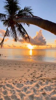 the sun is setting over the ocean with palm trees in the foreground and people walking on the beach