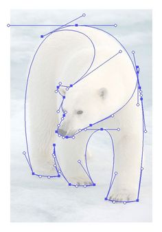 a polar bear is standing in the snow and has blue lines drawn on it's body