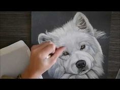 a drawing of a white dog is being held up by someone's hand as they look at it