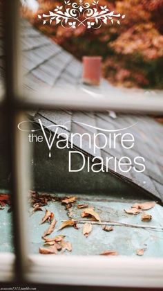 the cover of the book, the vampire diaries