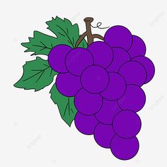 Png Fruit, Grapes Fruit, Garden Rocks, Vegetable Cartoon, Fruit Clipart, Dancing Drawings, Fruits Drawing, Floral Wallpaper Phone, Printing Design