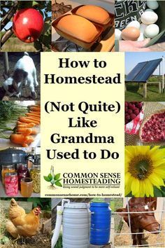 a collage of photos with the words how to homestead not quite like grandma used to do