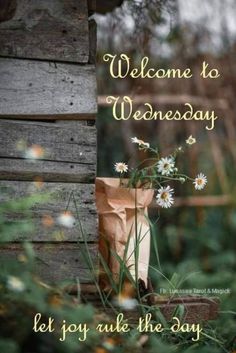 there is a bag with daisies in it and the words welcome to wednesday written on it