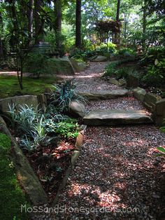 a path in the middle of a forest with rocks and plants on both sides, leading up to an outdoor pavilion