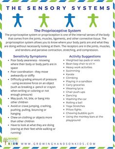 Proprioceptive Activities For Kids, Sensory Processing Activities, Proprioceptive Activities, Occupational Therapy Kids, Sensory Disorder, Sensory Therapy, Sensory System, Auditory Processing, Occupational Therapy Activities