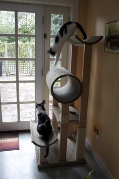 a cat sitting on top of a scratching post in front of a sliding glass door