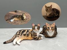 two cats laying next to each other on top of a white table with a brick wall in the background