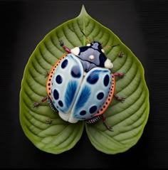 a blue and orange bug sitting on top of a green leaf