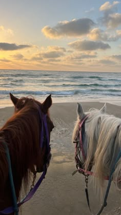 two horses are standing on the beach looking at the water and clouds in the sky