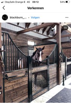 a horse is standing in its stall at the stable, looking over the gate and into the camera