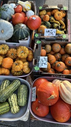 many different types of fruits and vegetables on display