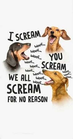 three dogs with their mouths open and the words i scream you scream for no reason