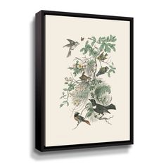 an illustration of birds and plants on a white background framed canvas wall art print by person