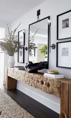 a cat laying on top of a wooden bench in front of a mirror and plant