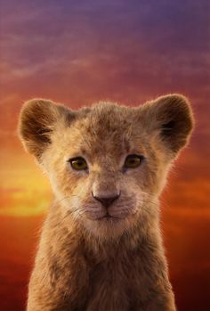 the lion king is looking at the camera with an intense look on his face and chest