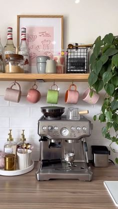 a coffee maker sitting on top of a wooden counter next to a potted plant