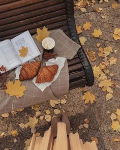 two croissants and an open book sit on a bench with autumn leaves