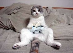 a cat sitting on top of a couch holding a video game controller in its paws