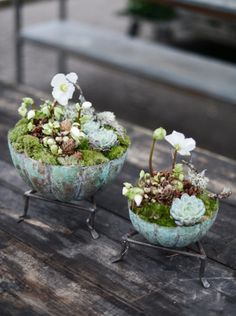 two metal bowls with plants in them sitting on a wooden table outside, one has white flowers and the other has green moss