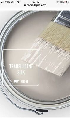 a paint can with a brush in it and the words translucent silk painted on it