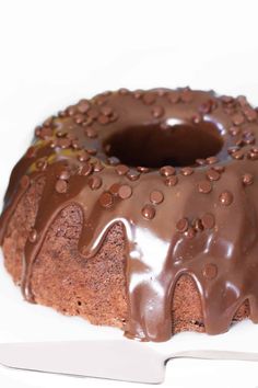 a bundt cake with chocolate frosting and sprinkles sitting on a white plate