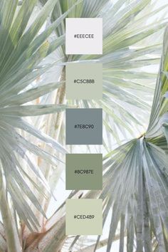 the color scheme for this palm tree is pale green and neutral, with white accents