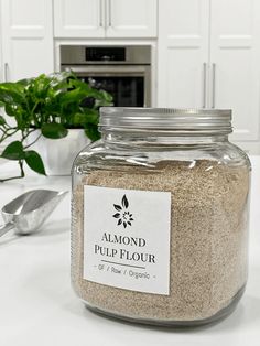 a glass jar filled with lots of sand next to a potted plant on a kitchen counter